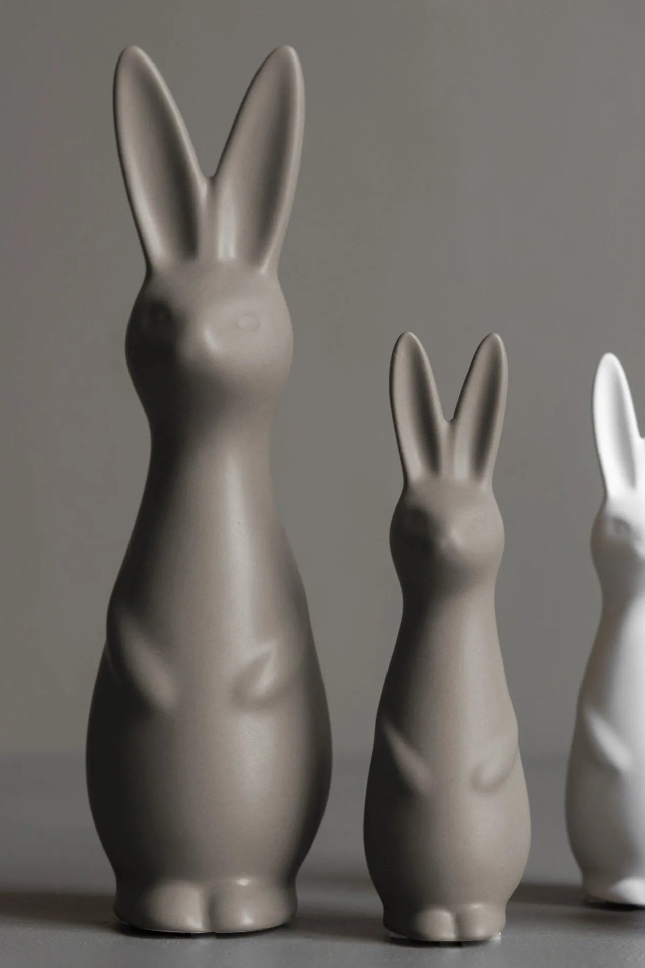 Swedish rabbit large