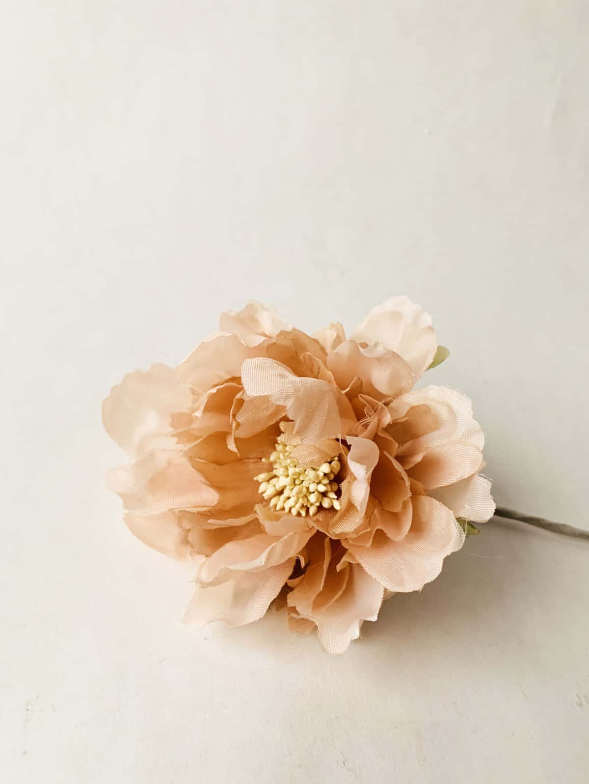Blomst Rosa