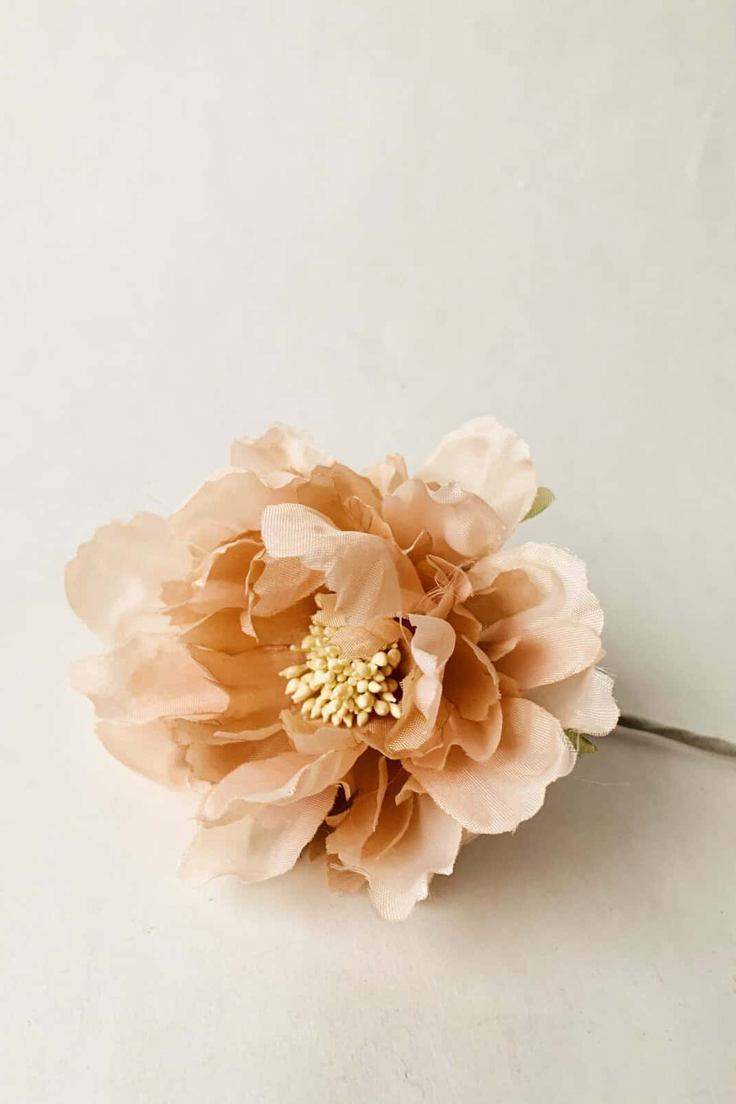 Blomst Rosa