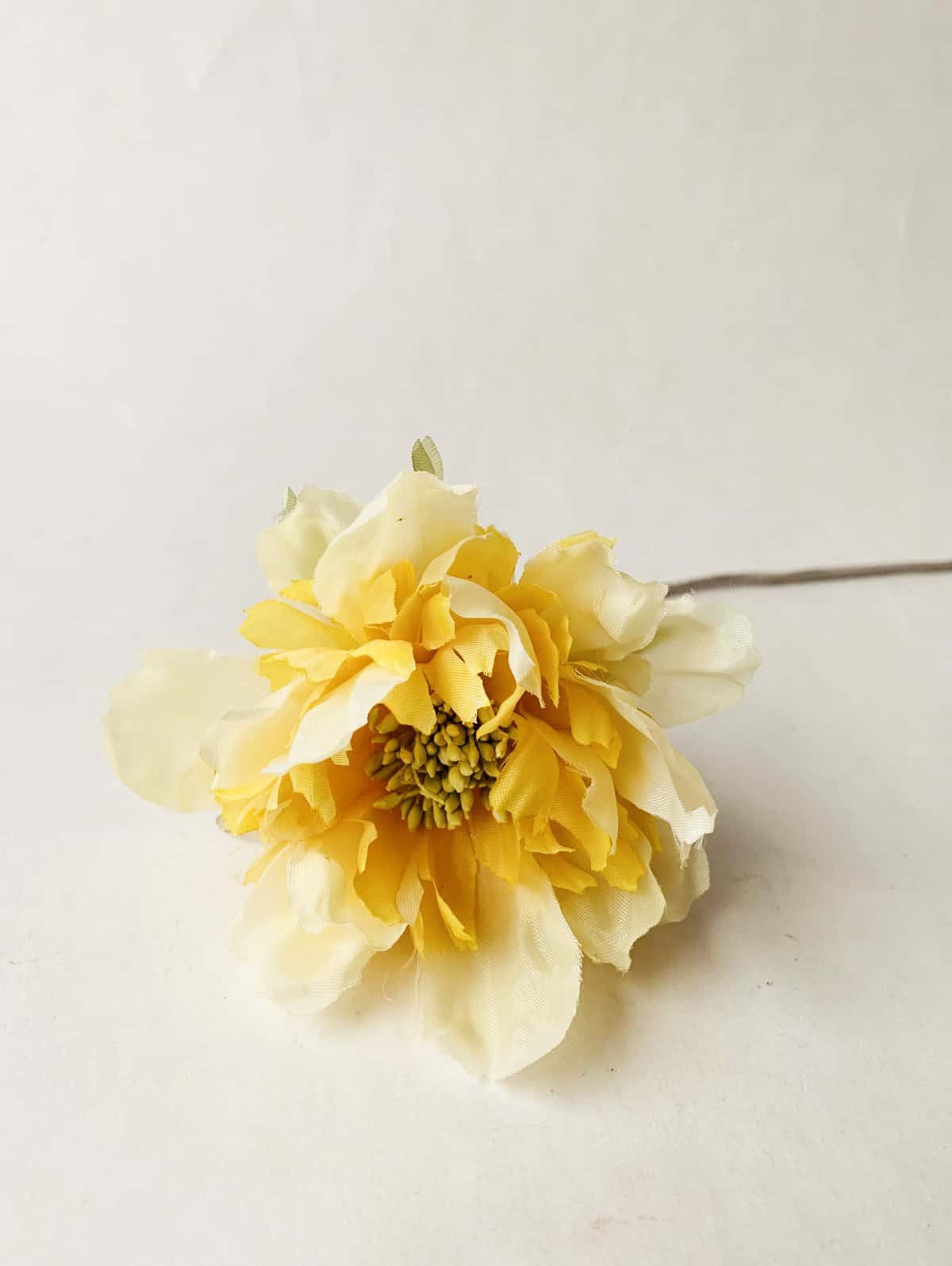 Blomst Gul