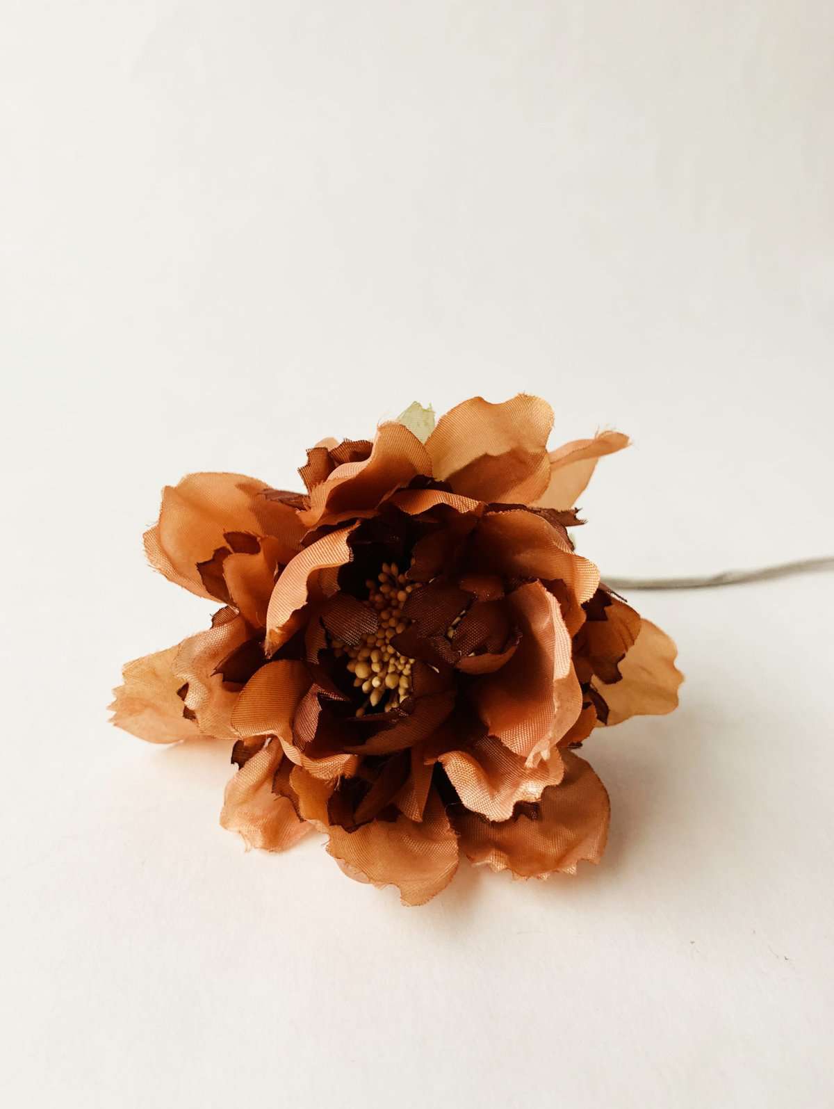 Blomst Brun