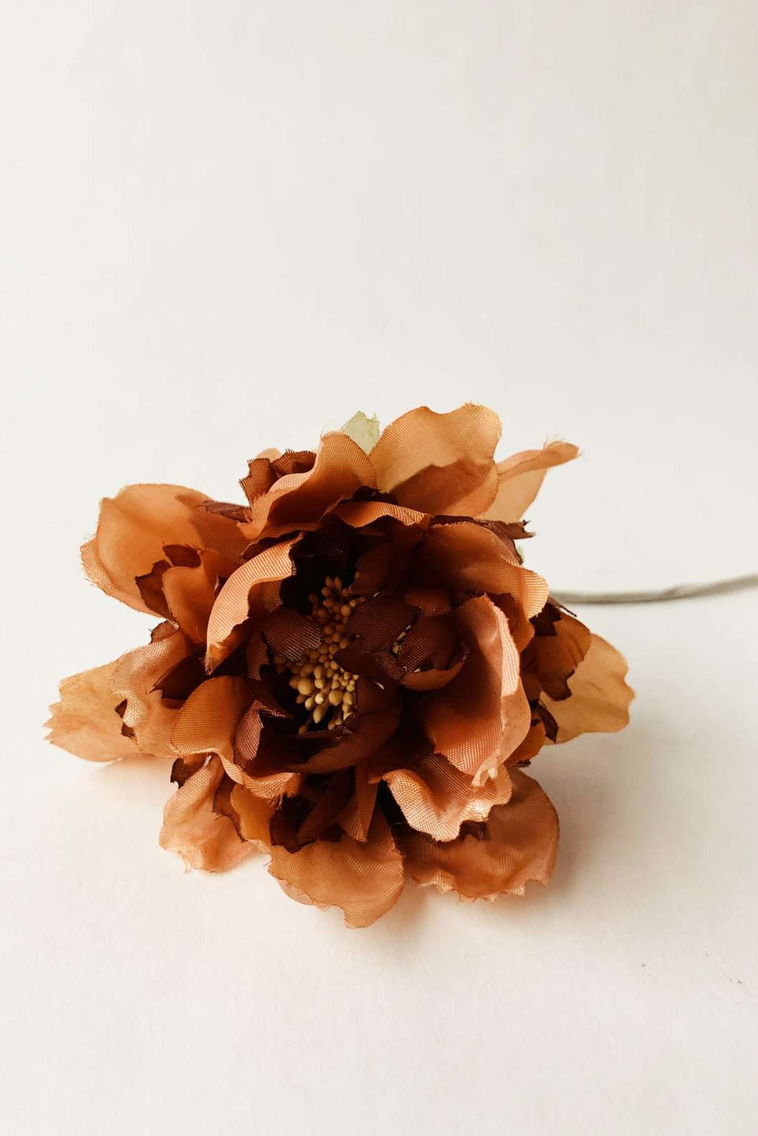 Blomst Brun