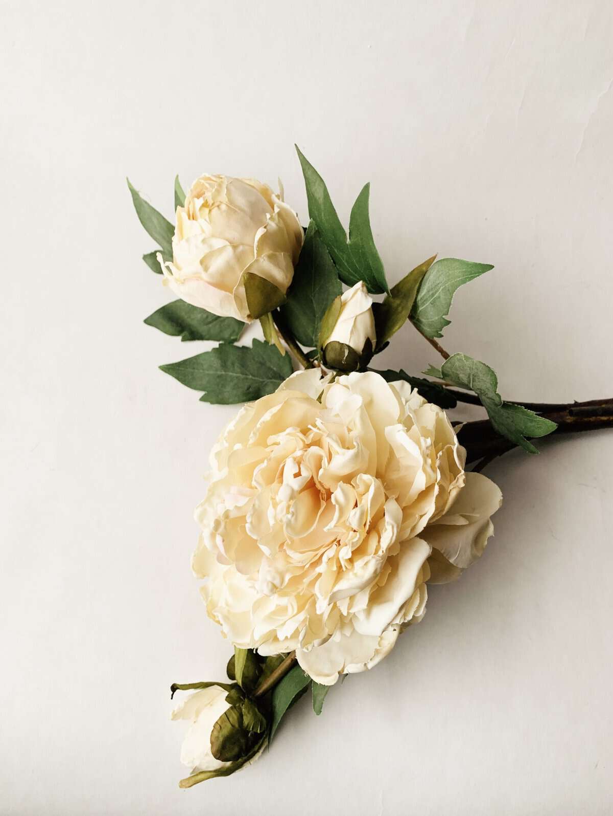 Rose Bukett Creme