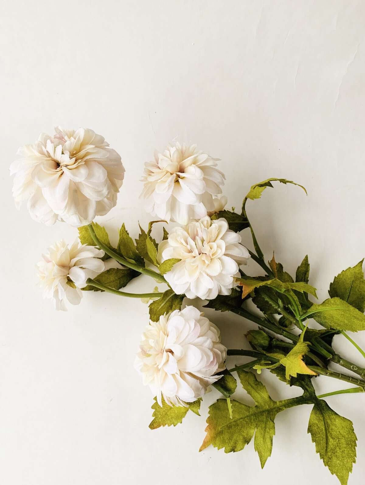 Dahlia Pompom bukett