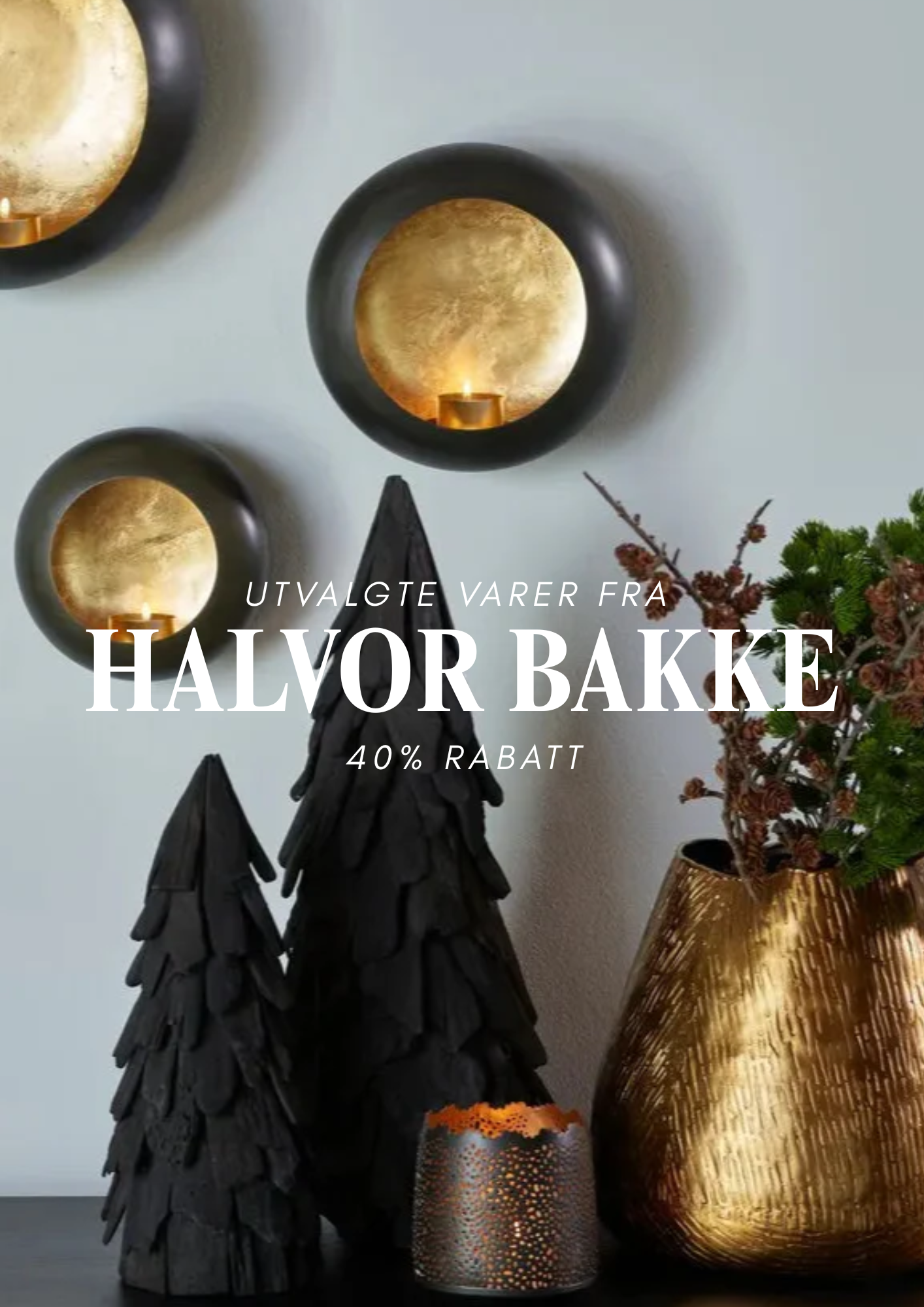HALVOR BAKKE
