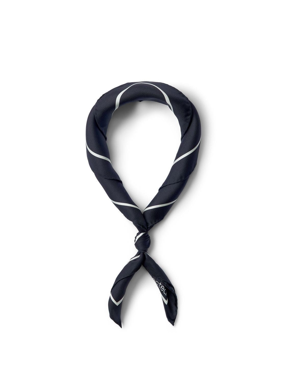 Slfsara Large Silk Scarf