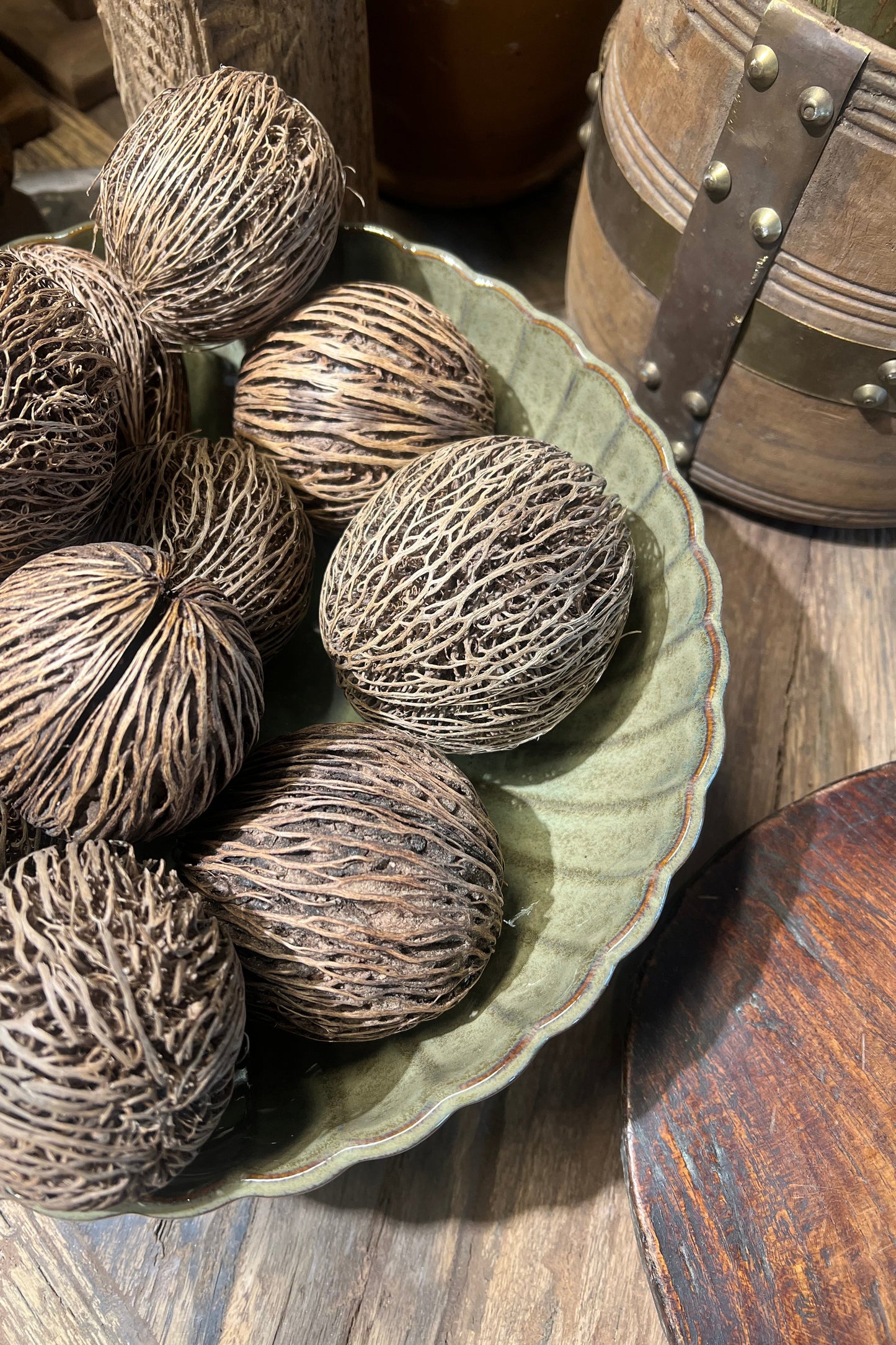 Bowl Joy Grass Large