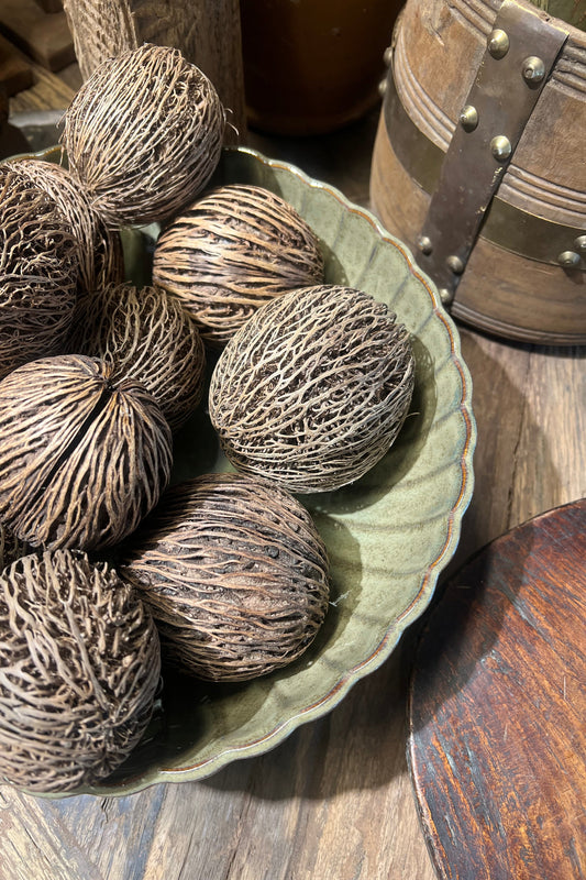 Bowl Joy Grass Large