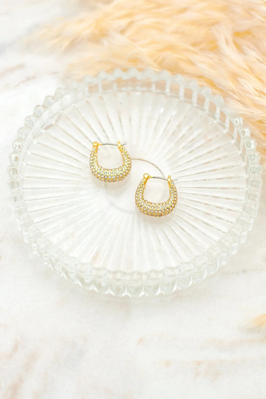 Luana crystal earrings