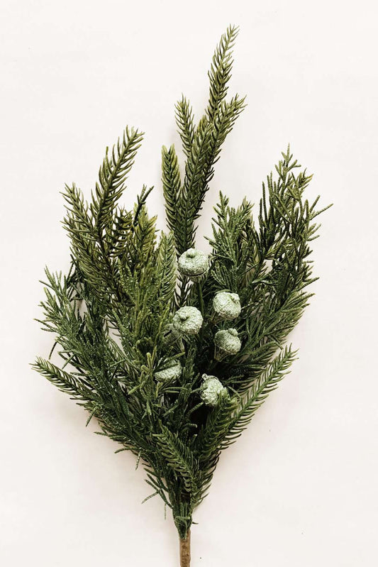 BARGREN EUKALYPTUS  44 CM