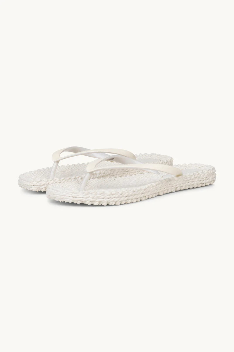 Flip Flop