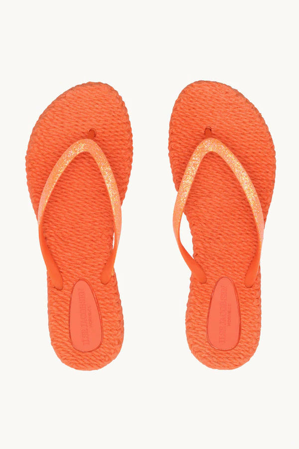 Flip Flop