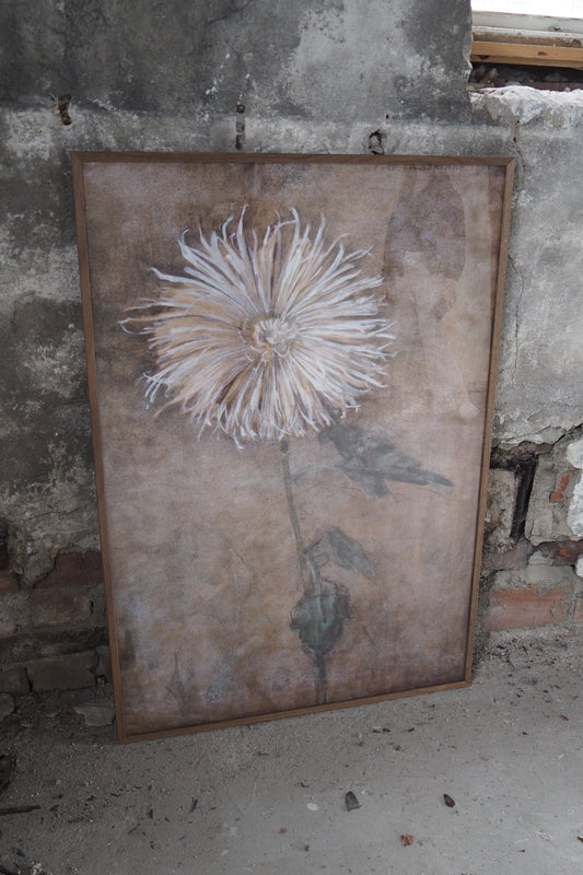 Krysantemum 70x100 cm